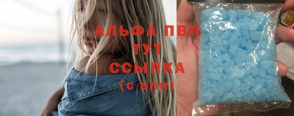 сатива Арсеньев