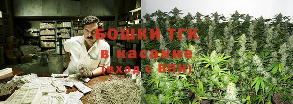 сатива Арсеньев