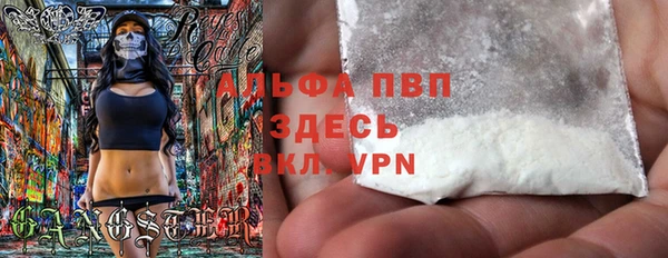 сатива Арсеньев