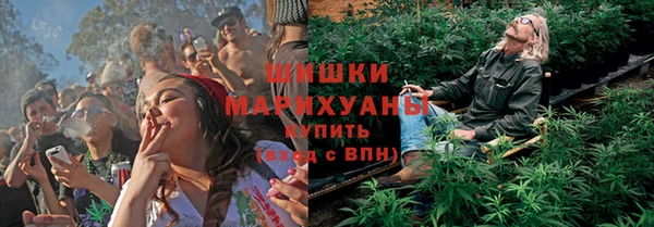 сатива Арсеньев