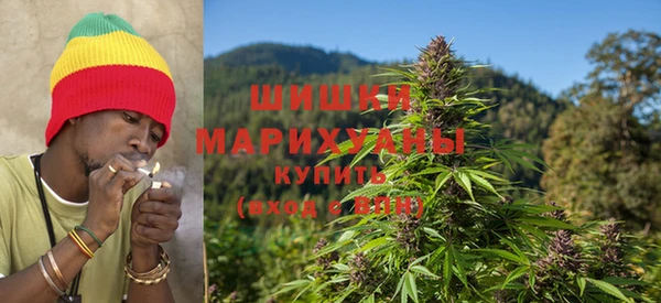 сатива Арсеньев