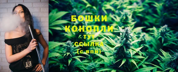 сатива Арсеньев
