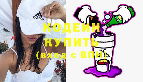 сатива Арсеньев