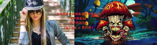 сатива Арсеньев