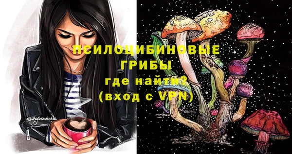 спиды Аркадак