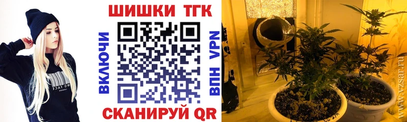 как найти наркотики  Ивдель  Шишки марихуана тримм 